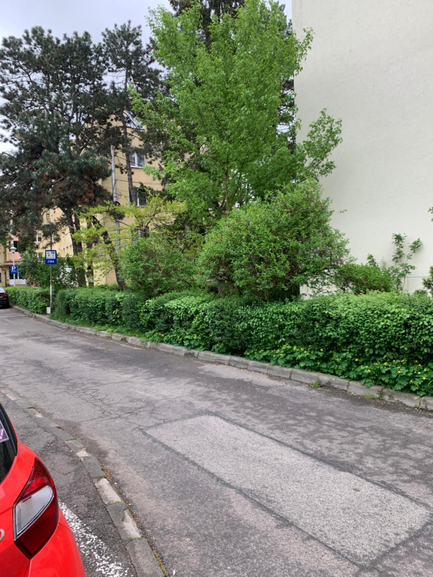 River House Apartment Cluj-Napoca Exterior photo