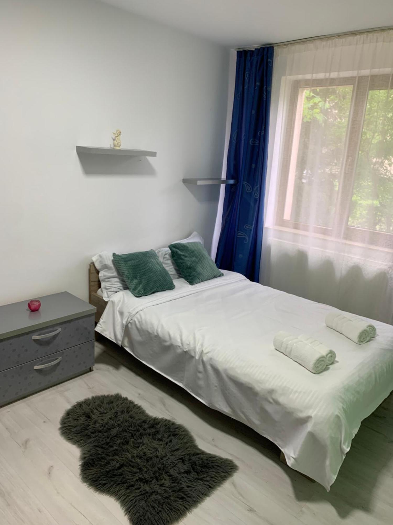 River House Apartment Cluj-Napoca Exterior photo